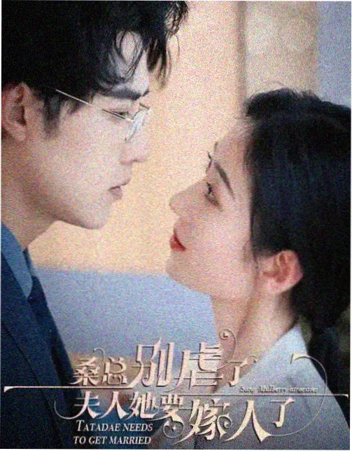 小舞身份伏笔回顾